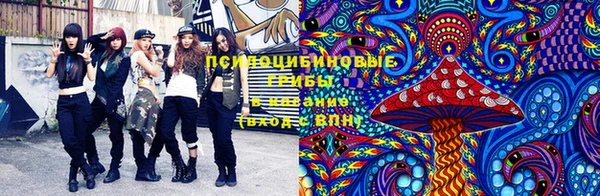 хмурый Армянск