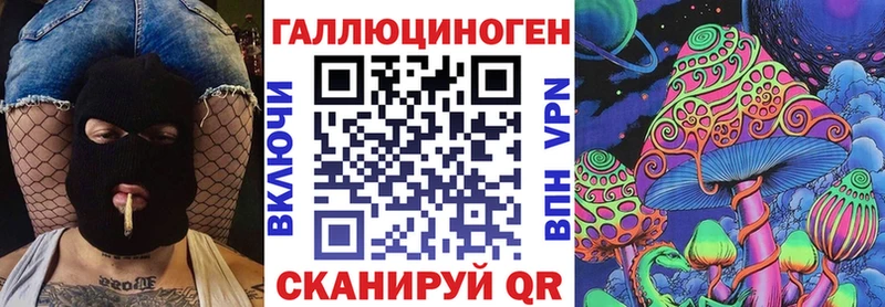 Купить  Сланцы  Псилоцибиновые грибы Psilocybine cubensis 